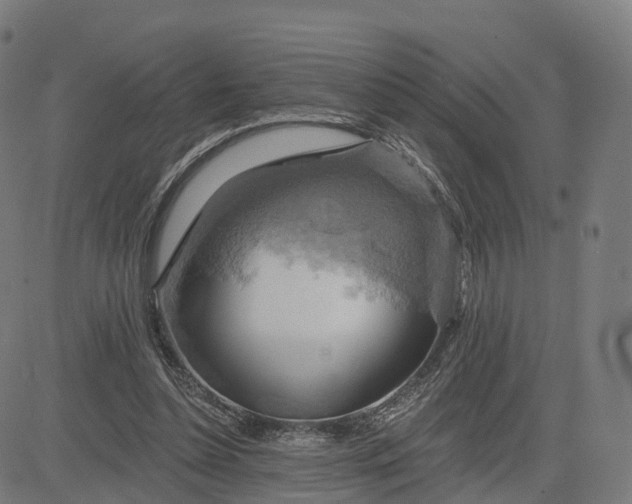 X0000084540348200703091659