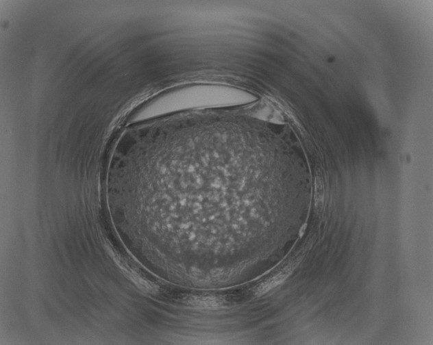 X0000084540349200703091659