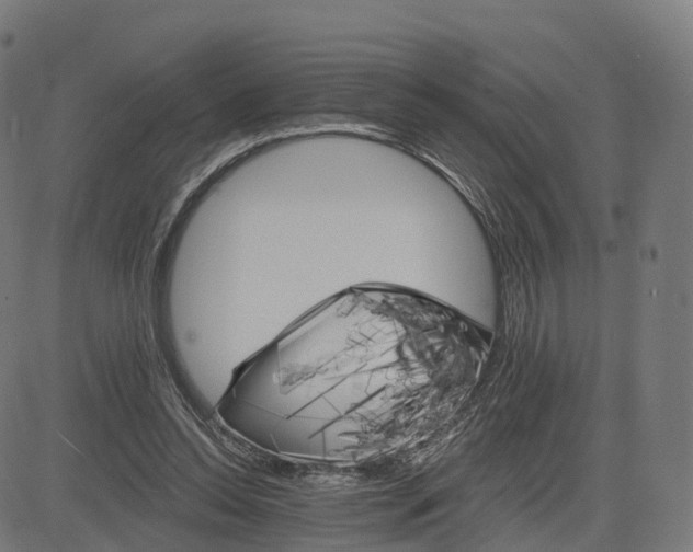 X0000084540350200703091659