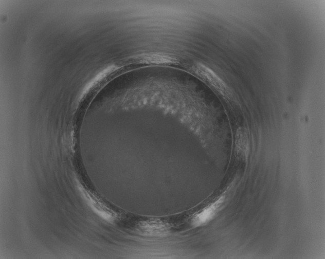 X0000084540351200703091659