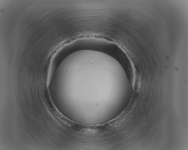 X0000084540352200703091659