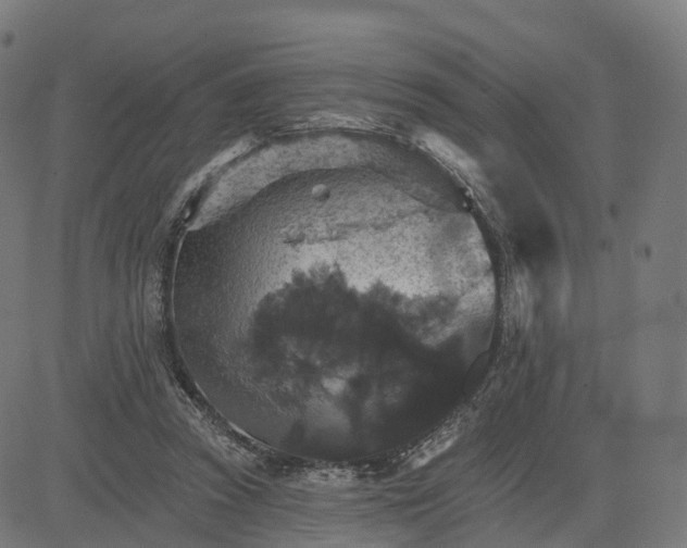 X0000084540353200703091659