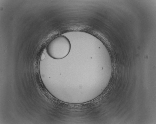 X0000084540354200703091659