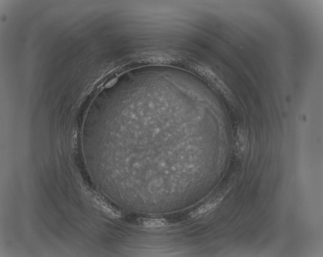 X0000084540355200703091659