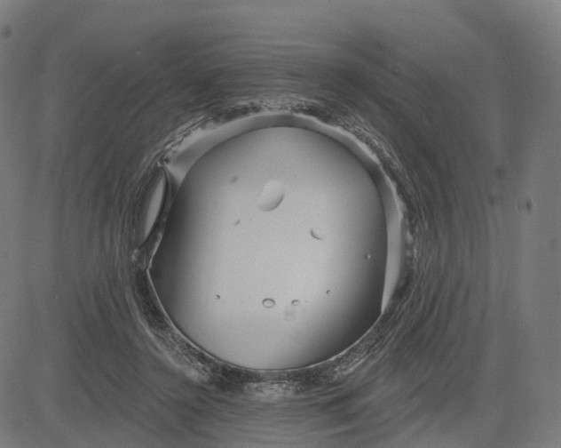 X0000084540356200703091659