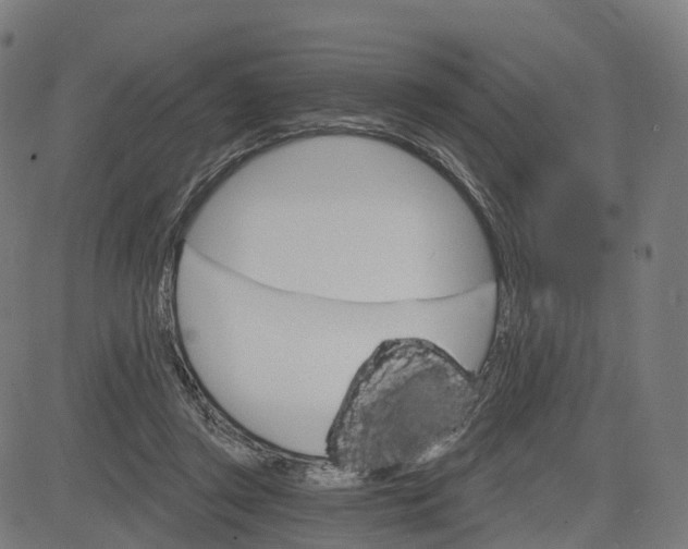 X0000084540357200703091659