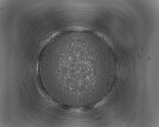 X0000084540358200703091659