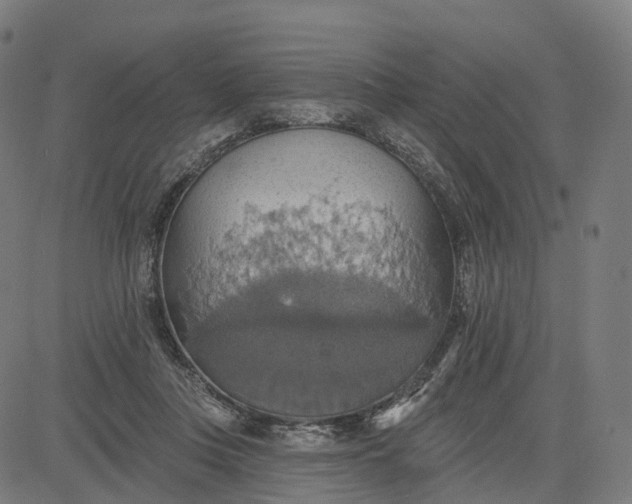 X0000084540359200703091659