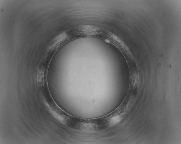 X0000084540360200703091700