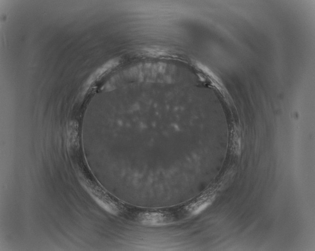 X0000084540361200703091700