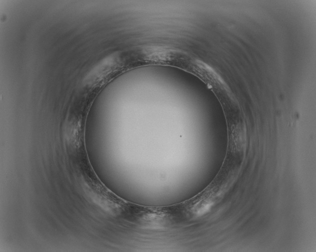 X0000084540364200703091700