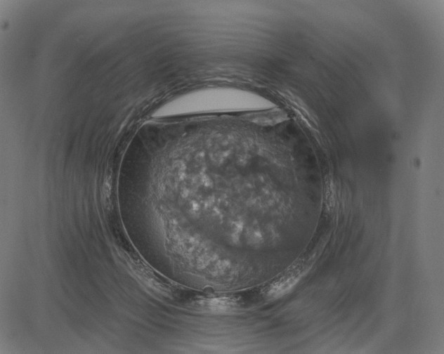 X0000084540365200703091700