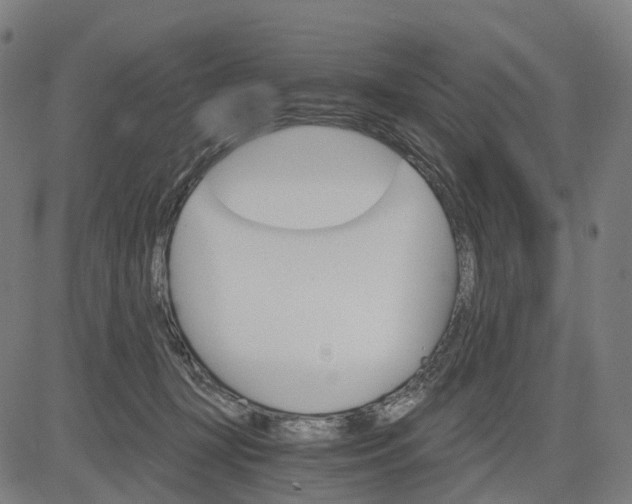 X0000084540367200703091700