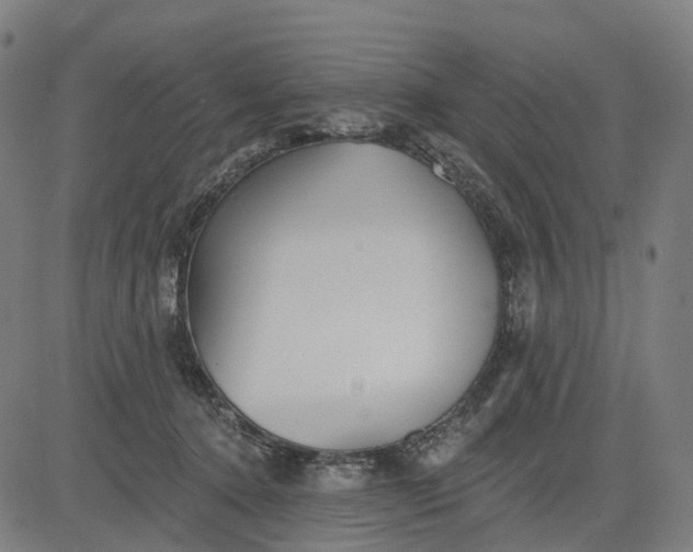 X0000084540368200703091700