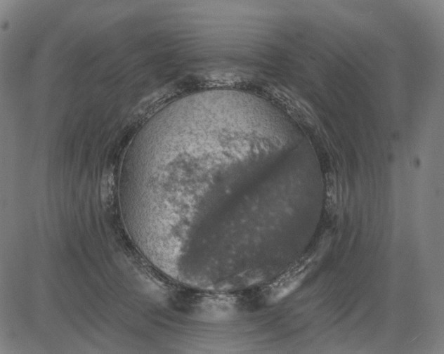 X0000084540369200703091700