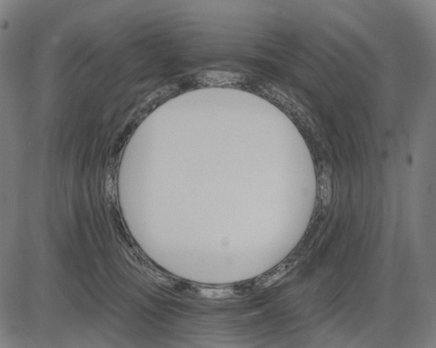 X0000084540371200703091700