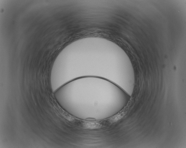 X0000084540372200703091700