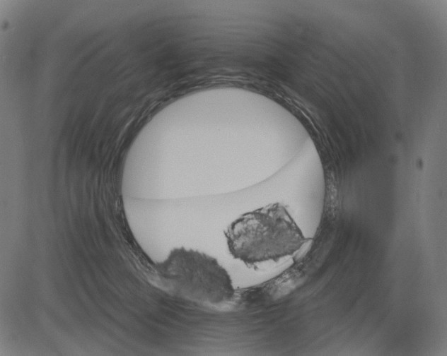 X0000084540373200703091700