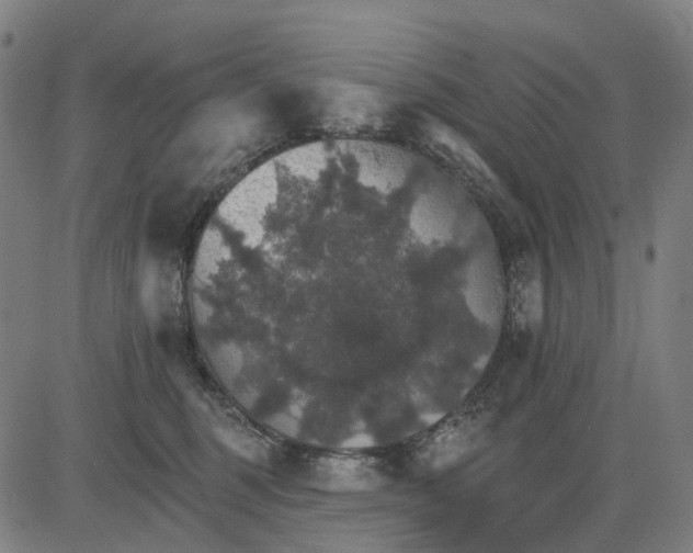 X0000084540375200703091700