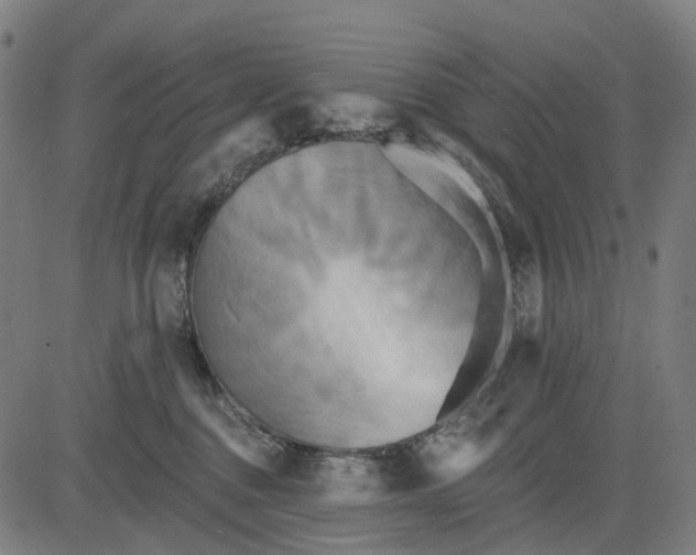 X0000084540376200703091700