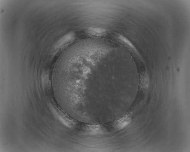 X0000084540377200703091700