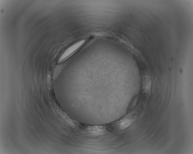 X0000084540378200703091700