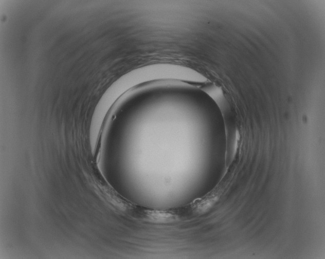 X0000084540380200703091700