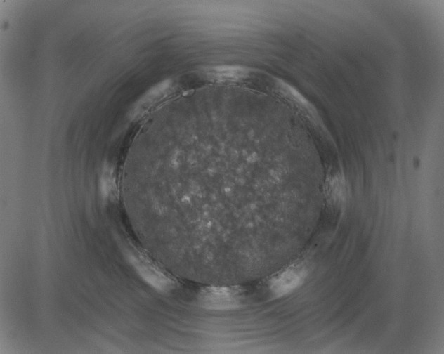 X0000084540381200703091700