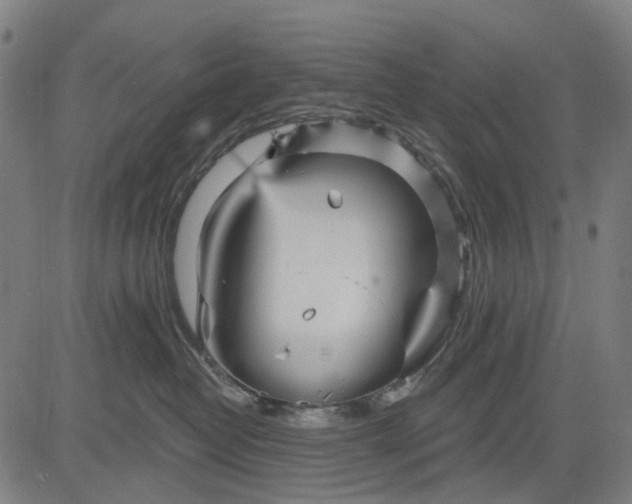 X0000084540382200703091700