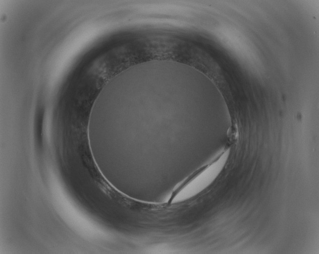 X0000084540383200703091700