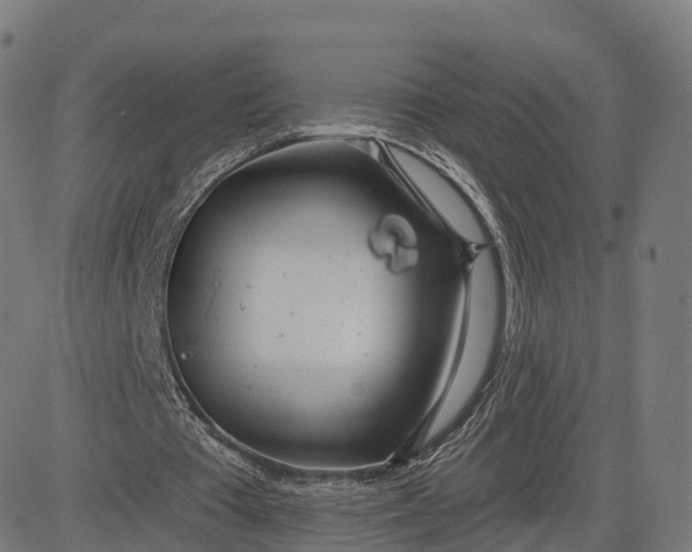 X0000084540385200703091659