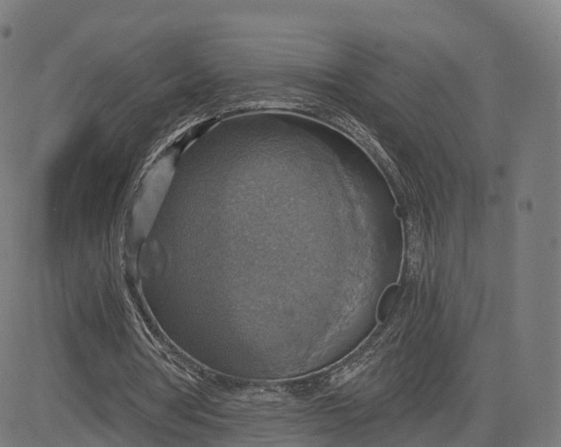 X0000084540386200703091659