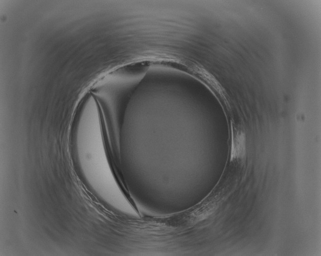 X0000084540387200703091659