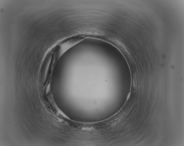 X0000084540388200703091659