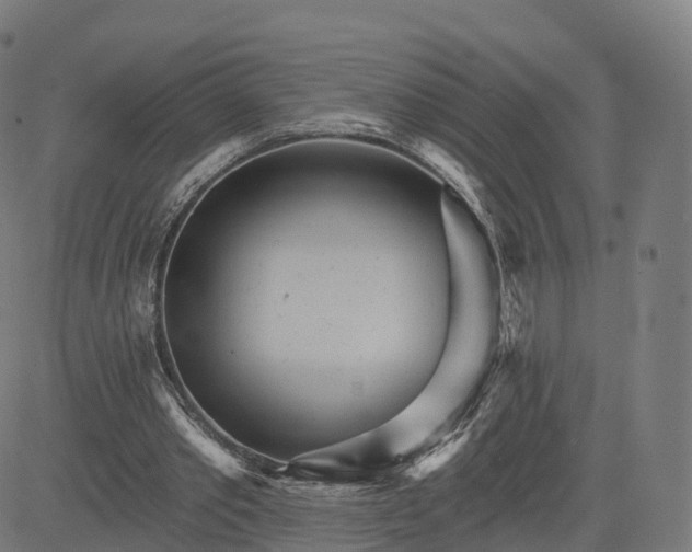 X0000084540389200703091659