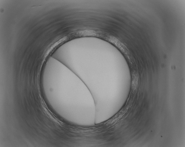 X0000084540390200703091659