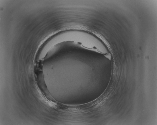 X0000084540391200703091659