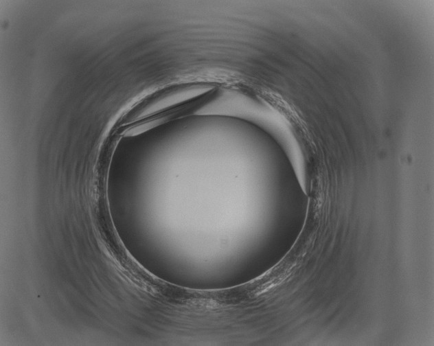 X0000084540392200703091659