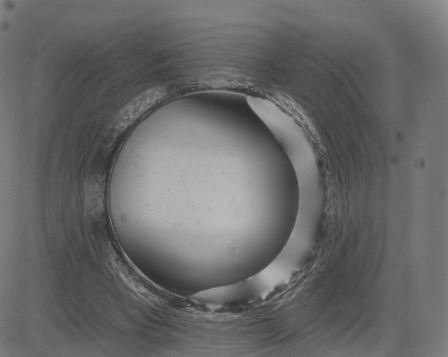 X0000084540393200703091659