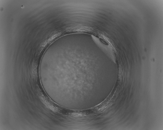 X0000084540394200703091659