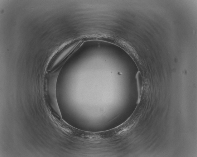 X0000084540395200703091659