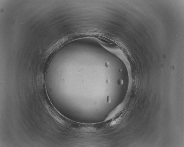 X0000084540397200703091659