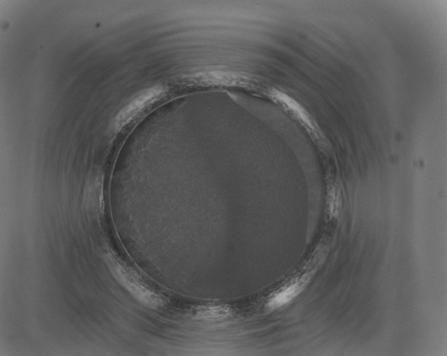 X0000084540398200703091659