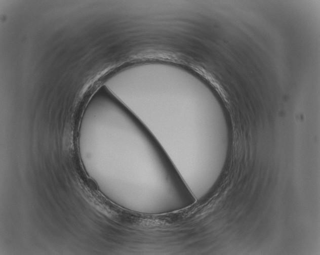 X0000084540399200703091659