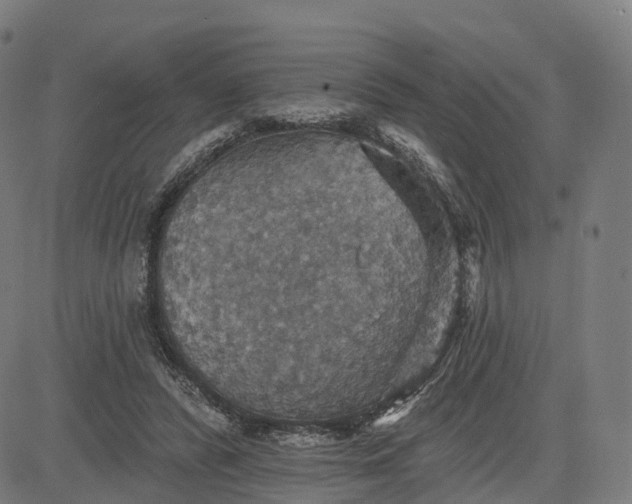 X0000084540400200703091659