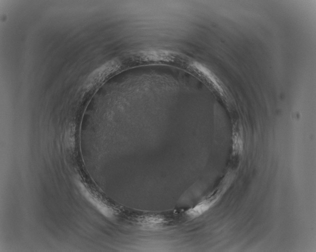 X0000084540402200703091659