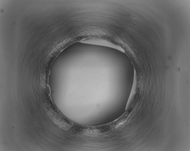 X0000084540403200703091659