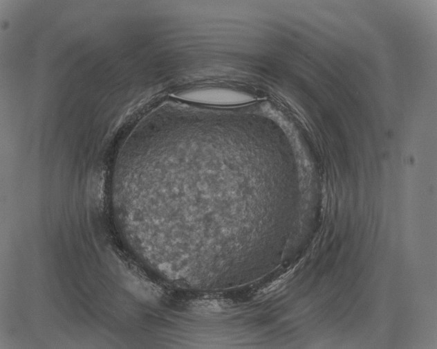 X0000084540404200703091659