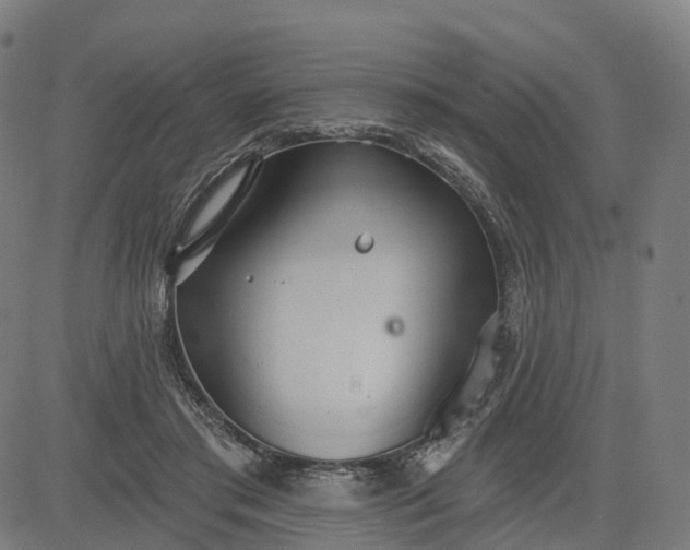 X0000084540405200703091659