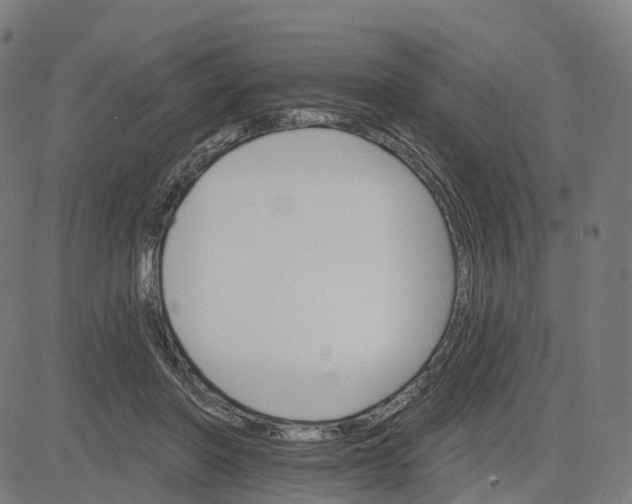 X0000084540406200703091659